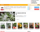 原道官方網站yuandaocn.com