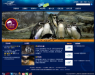 上海海洋水族館sh-soa.com